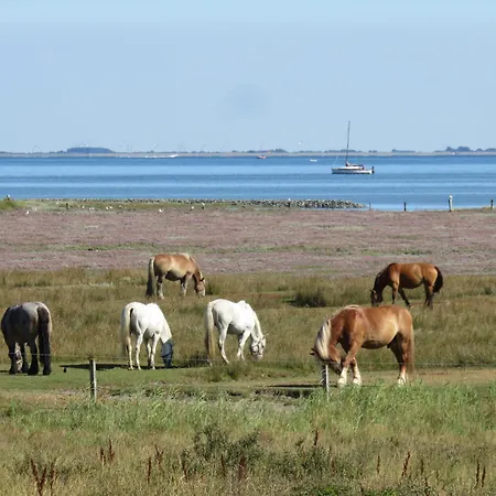 アパート Haus Deichgraf 174 - 4